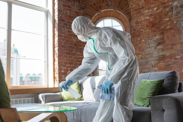 Best Mold Odor Removal Services  in Clendenin, WV